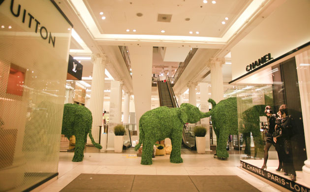 The Elephant Family on tour